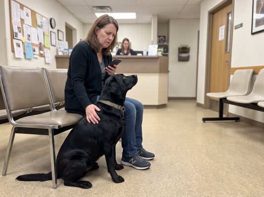 Dog owner in a veterinary waiting room looking at a quote for ACL surgery