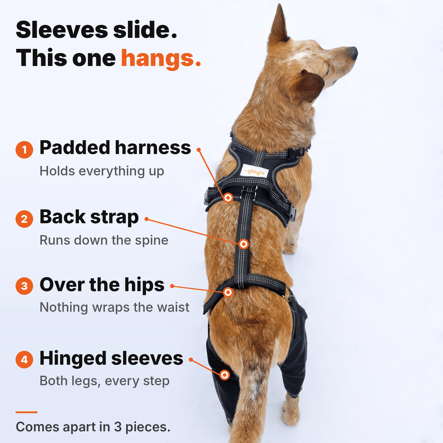 Dual-Leg Hinged Knee Support Harness for Dogs