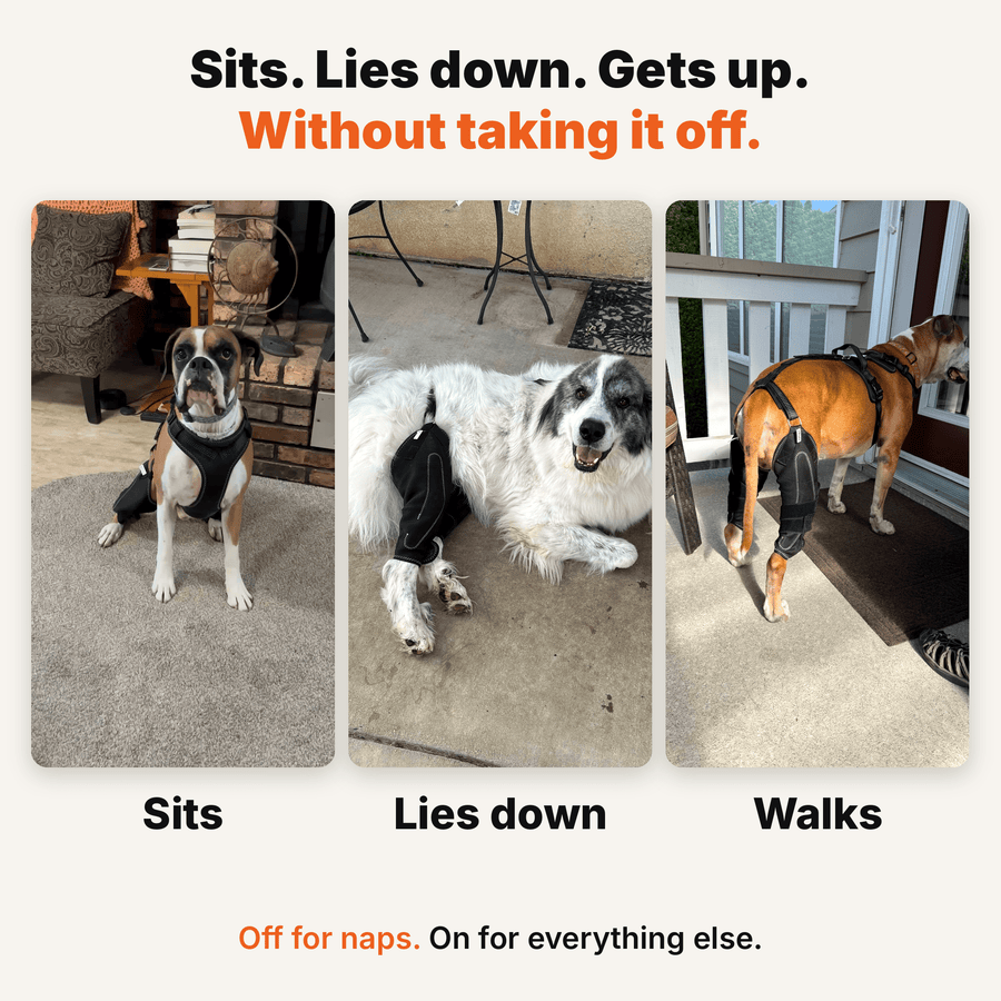 Dual-Leg Hinged Knee Support Harness for Dogs