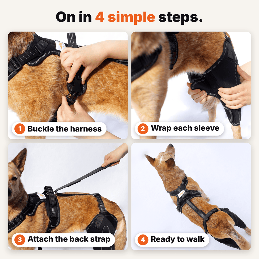 Dual-Leg Hinged Knee Support Harness for Dogs