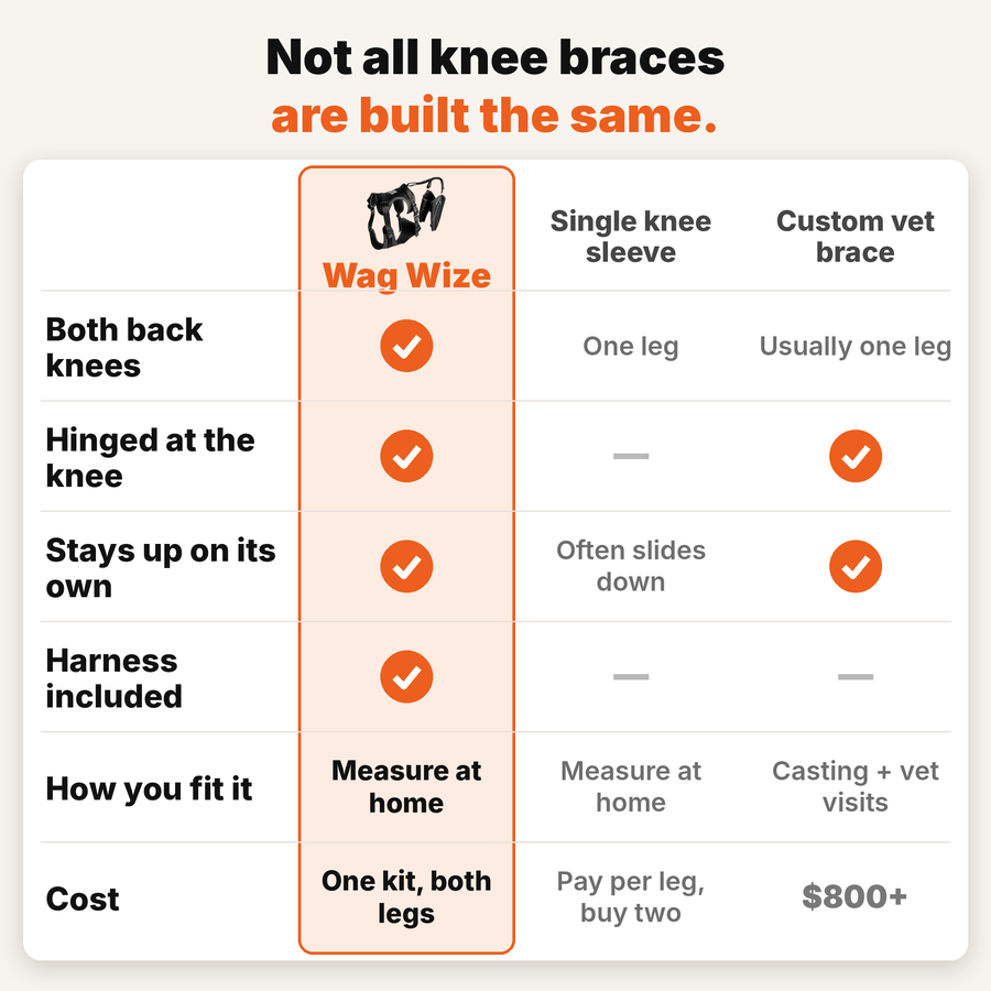 Dual-Leg Hinged Knee Support Harness for Dogs