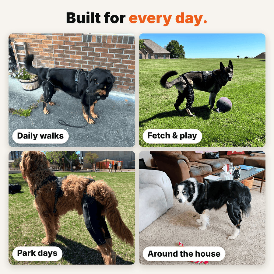 Dual-Leg Hinged Knee Support Harness for Dogs