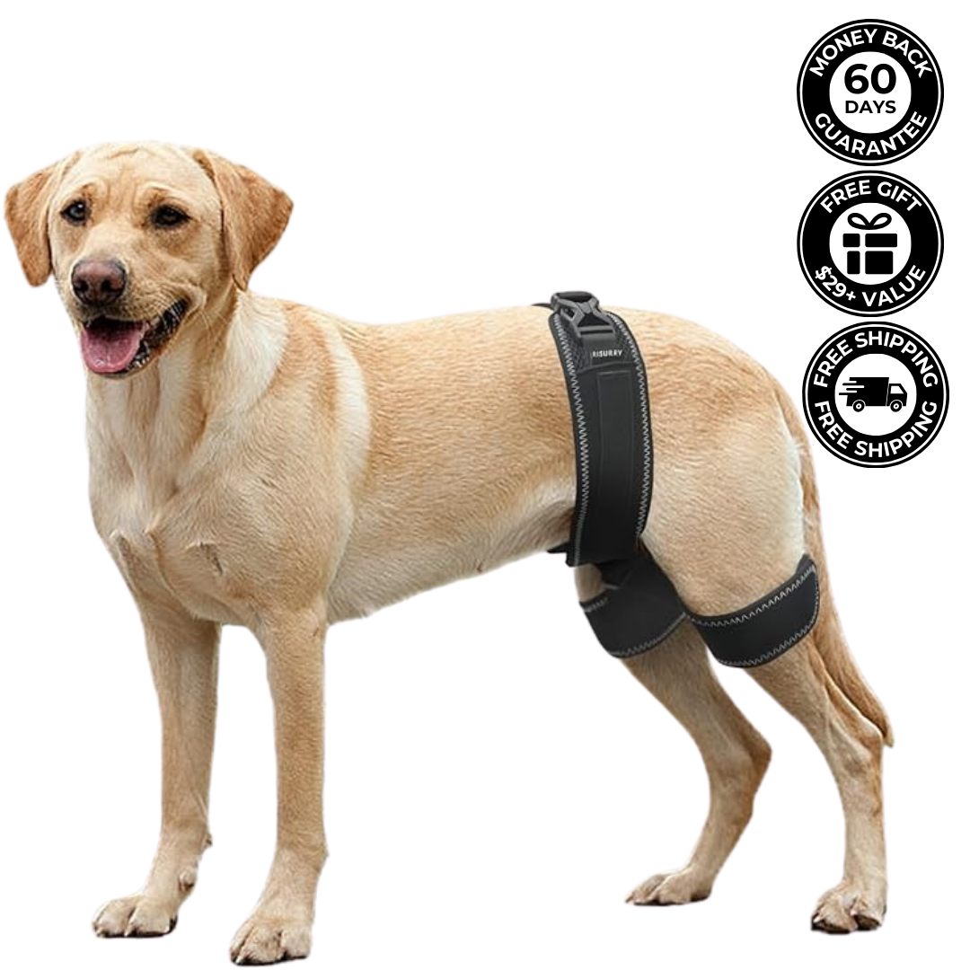 Hip Brace Belt For Dogs