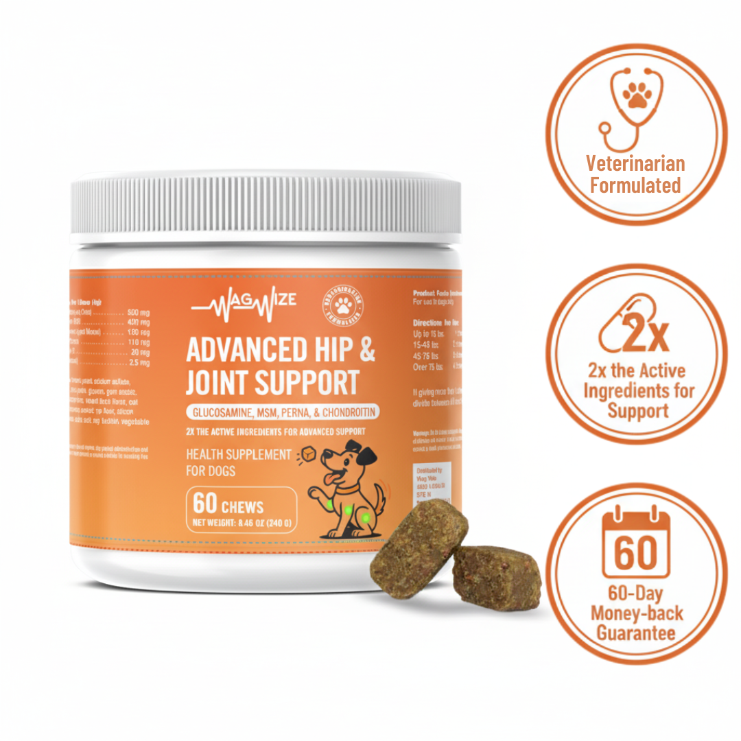Advanced Hip & Joint Support Chews