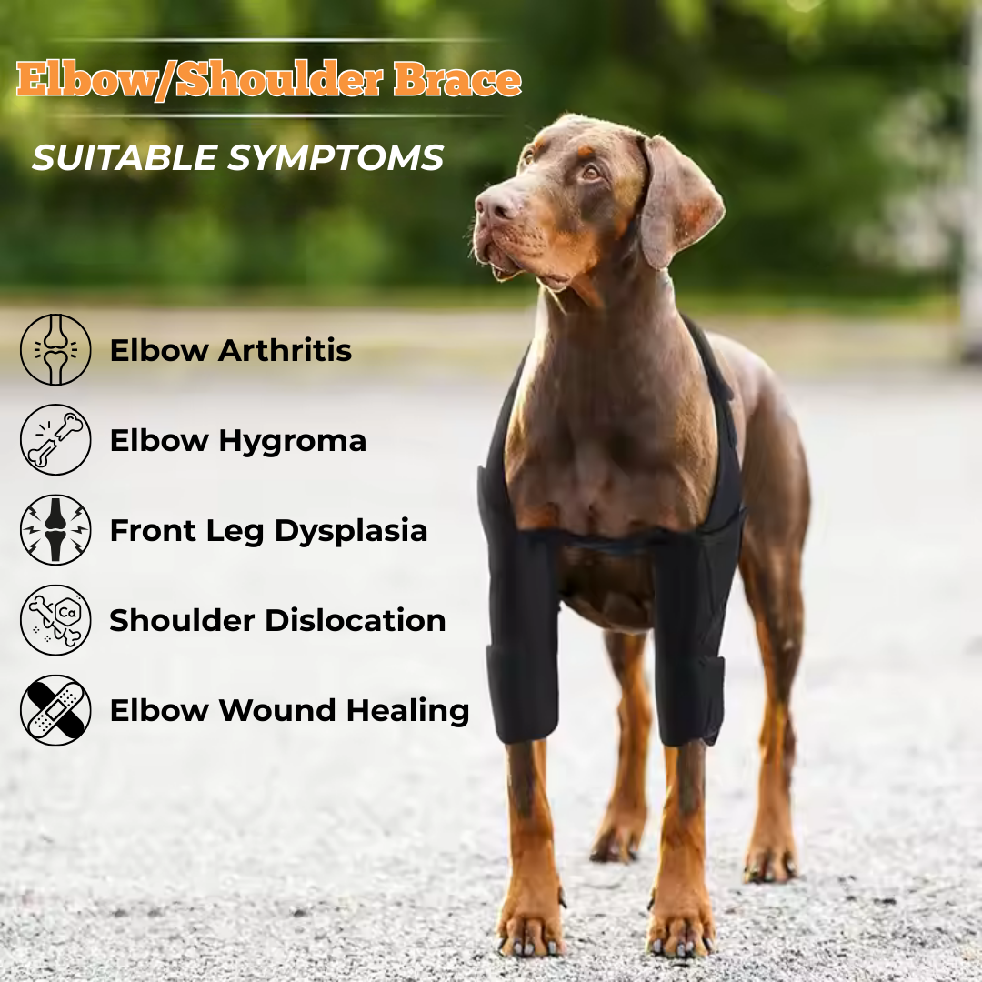 Dog Front Shoulder/Elbow Support Brace