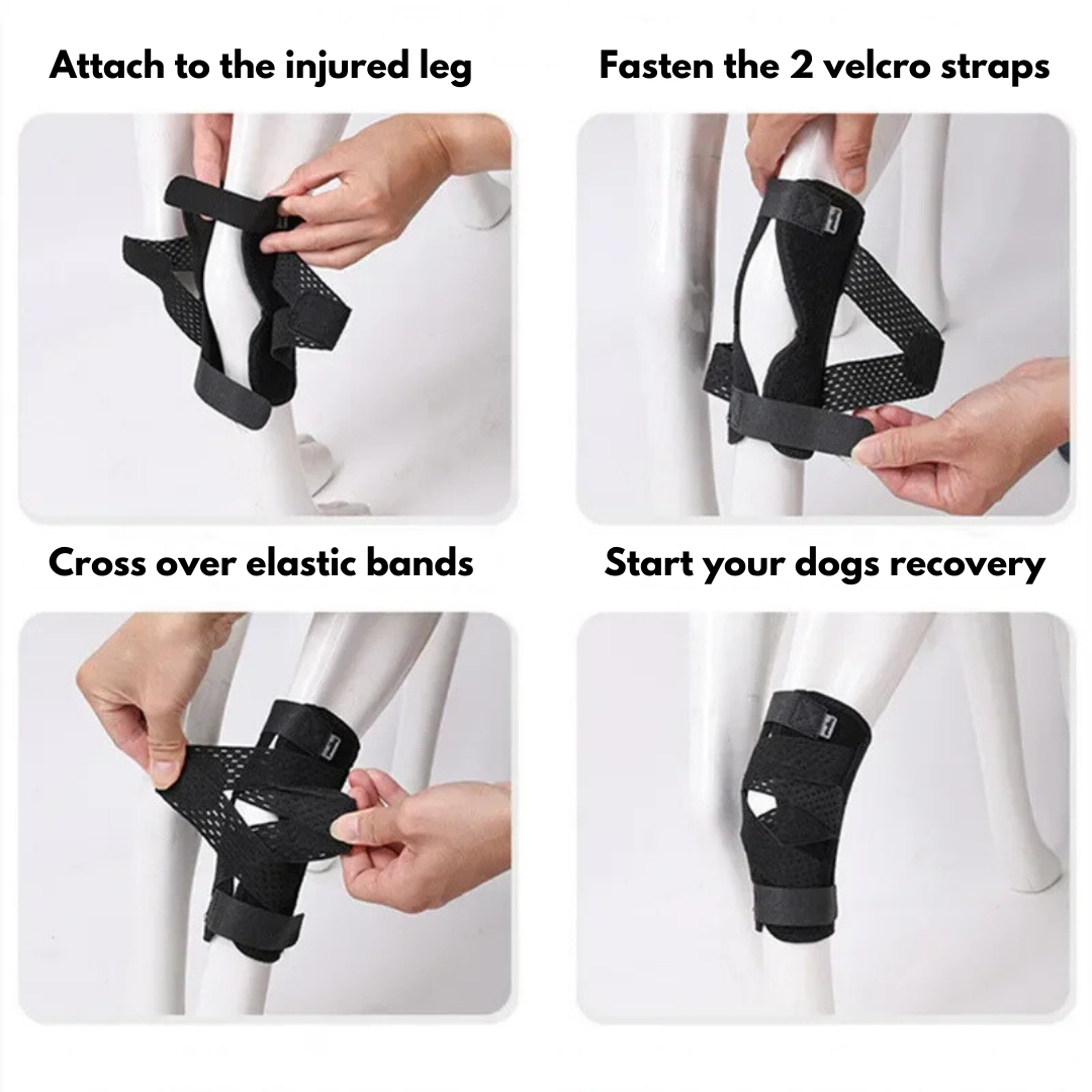 Hock Joint Support Brace