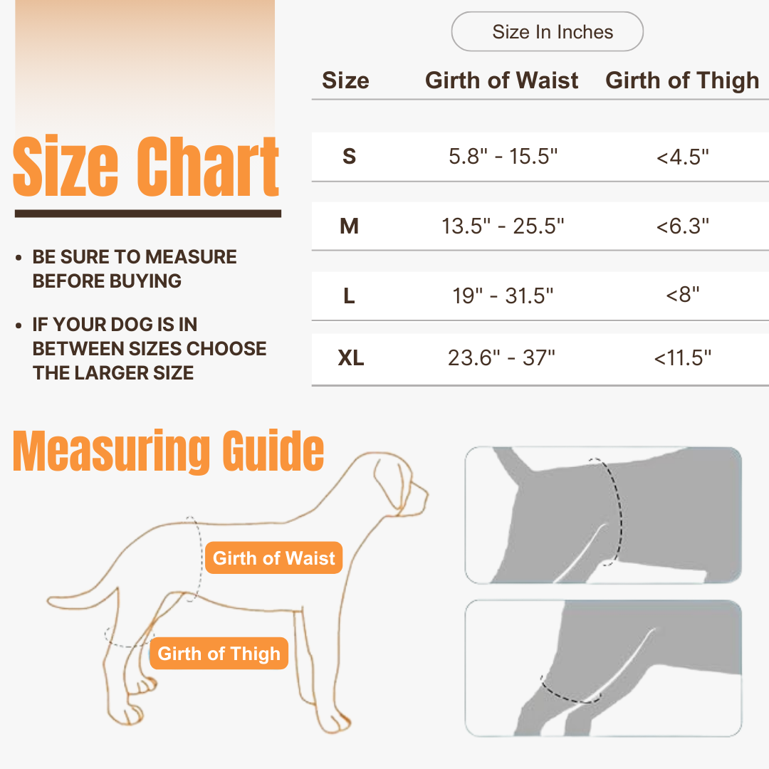 Hip Brace Belt For Dogs