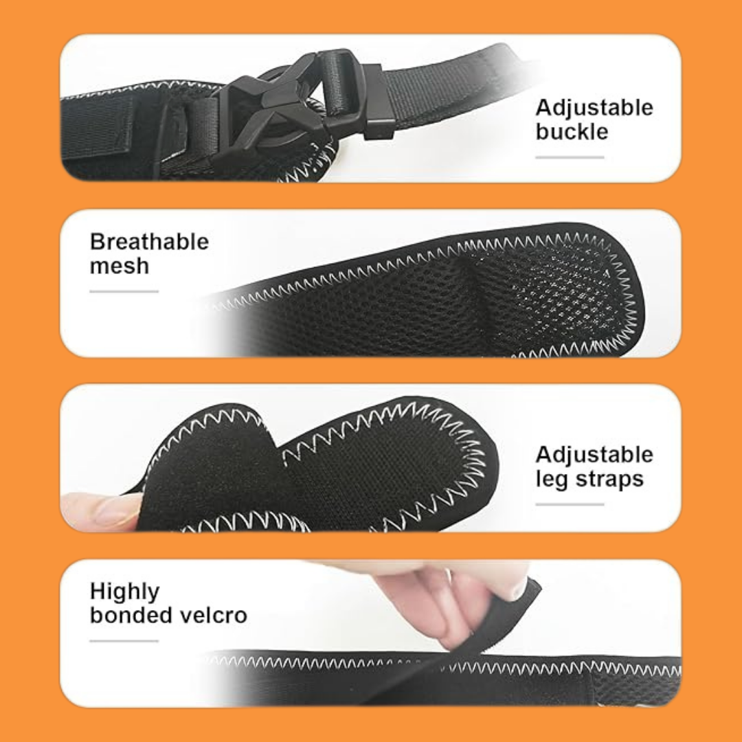 Hip Brace Belt For Dogs
