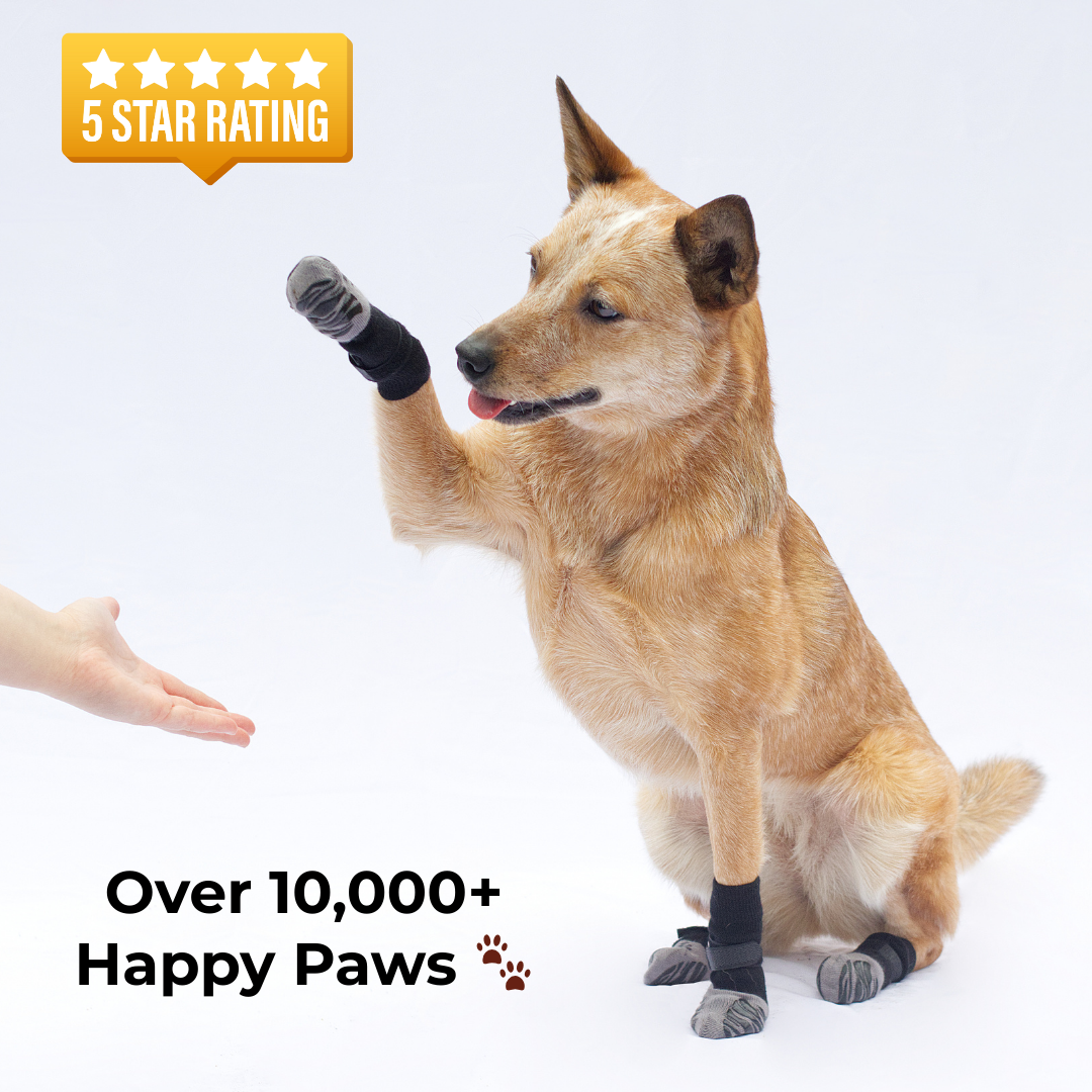 Anti-Slip Socks for Enhanced Stability