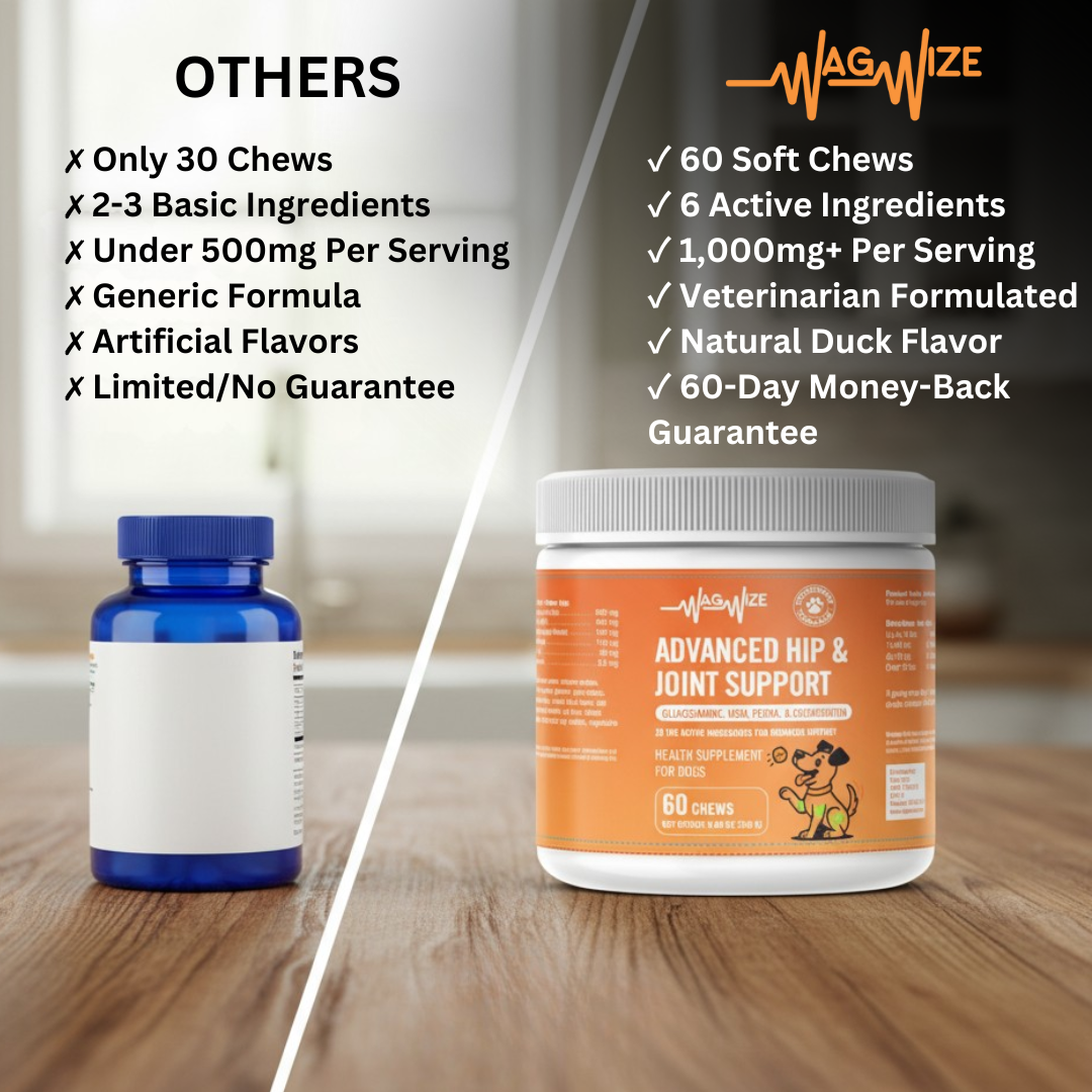 Advanced Hip & Joint Support Chews