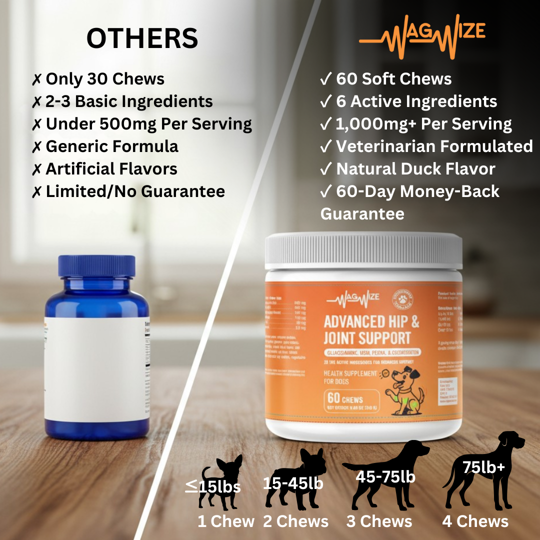 Advanced Hip & Joint Support