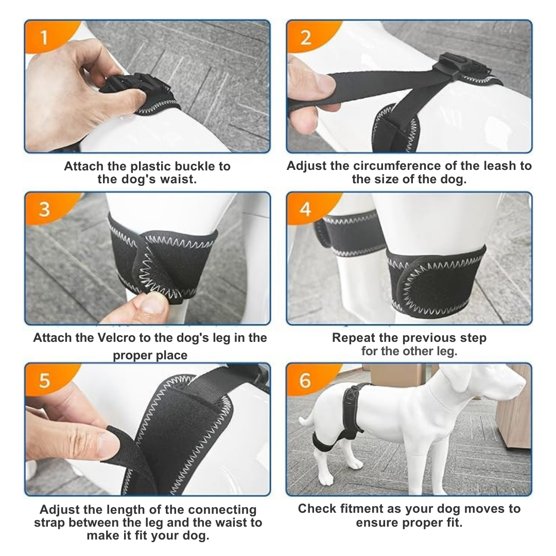 Hip Brace Belt For Dogs