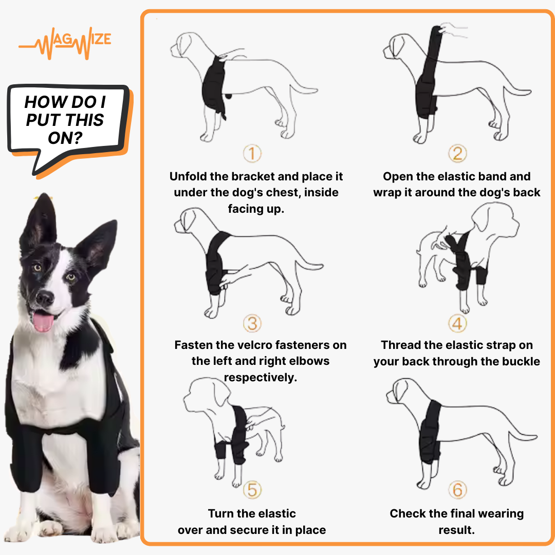 Dog Front Shoulder/Elbow Support Brace