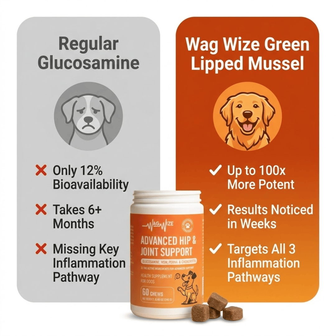 Advanced Hip & Joint Support Chews