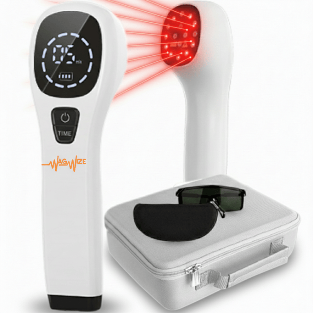 Dual-Wave Red Light Therapy Device for Dogs (808 nm + 650 nm)