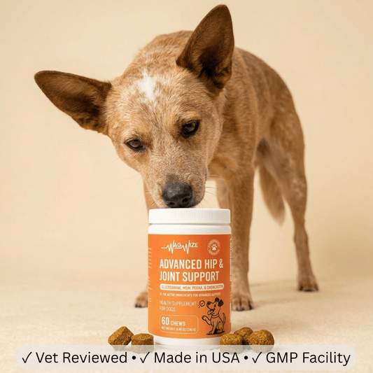 Advanced Hip & Joint Support Chews