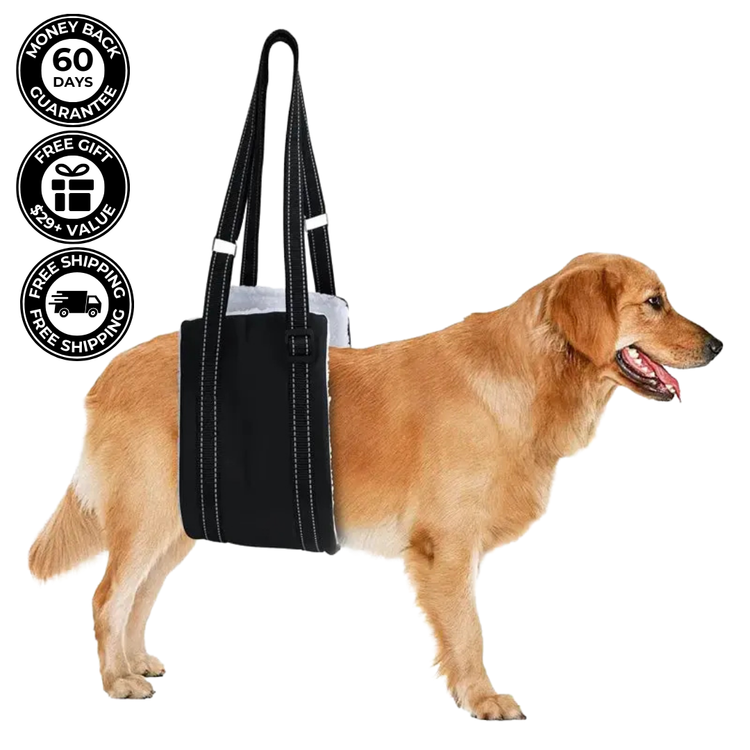 Dog Lifting Sling for Mobility Support