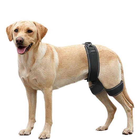 Hip Brace Belt For Dogs
