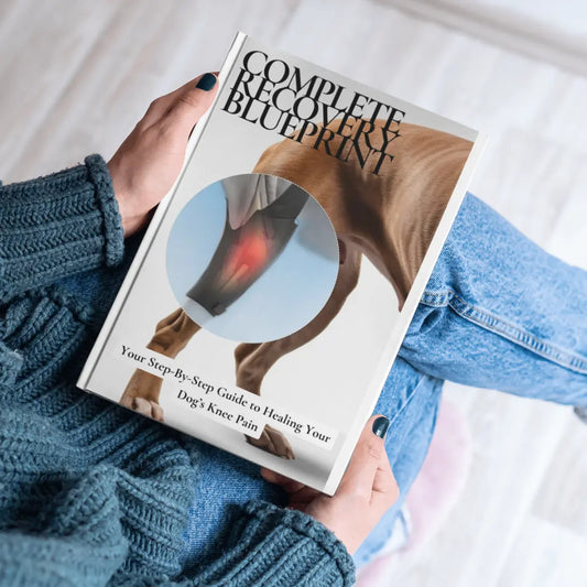 Complete Recovery Blueprint eBook Wag Wize