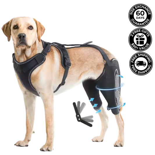 Dual-Leg Hinged Knee Support Harness for Dogs