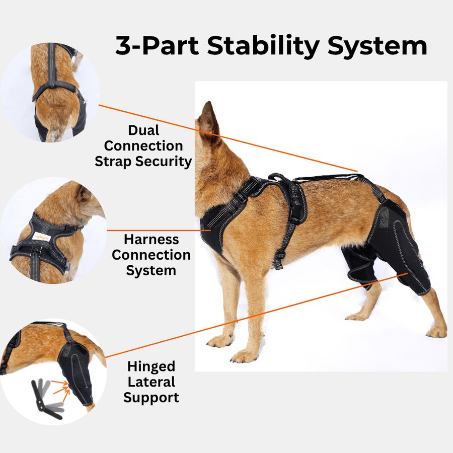 Wag Wize dog knee brace flat lay — matte black neoprene with reflective silver chevron stitching