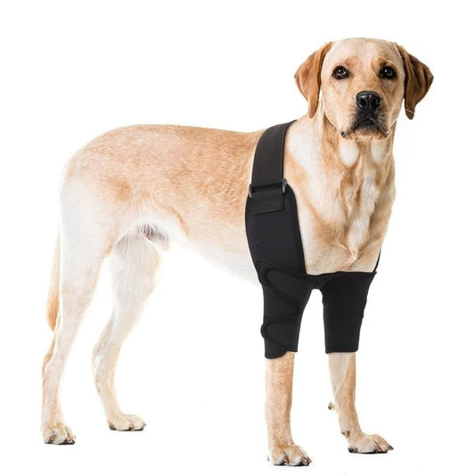 Wag Wize front shoulder and elbow brace on dog — dual-leg neoprene support for front limb injuries