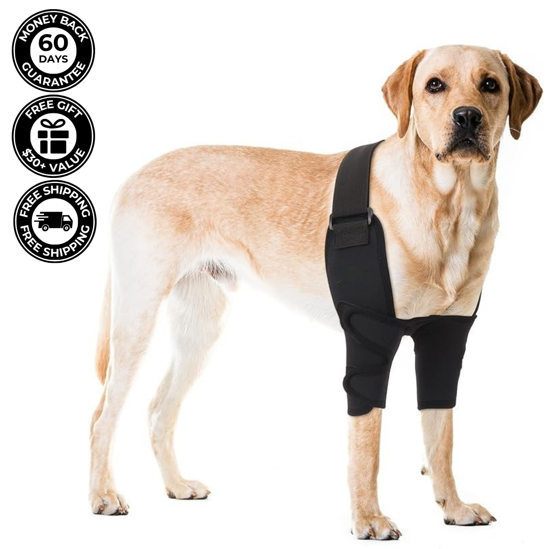 Dog Front Shoulder/Elbow Support Brace