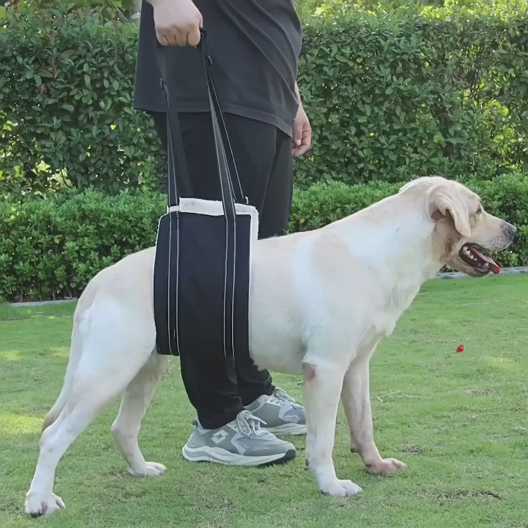 Dog Lifting Sling for Mobility Support